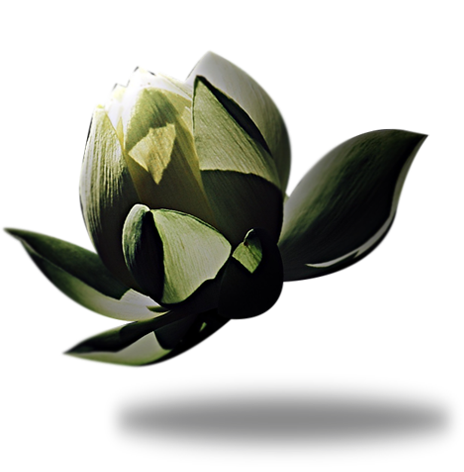 fiore