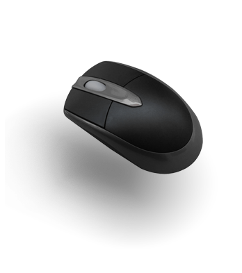 mouse