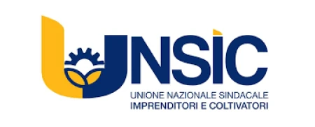 UNSIC