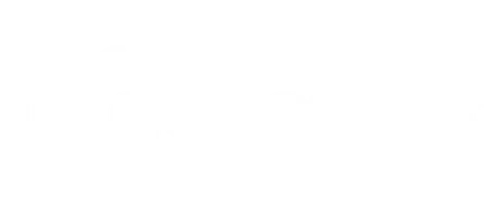 IL DENARO
